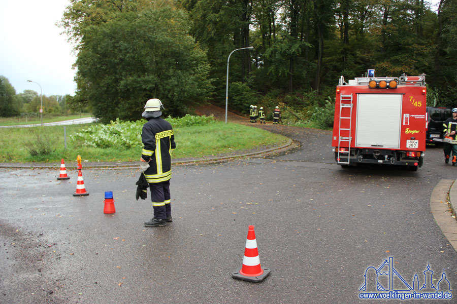 Am Eichenkopf musste auch kurzzeitig die Straße gesperrt werden, da auch hier ein Baum die Fahrbahn blockierte. (Foto: Hell)