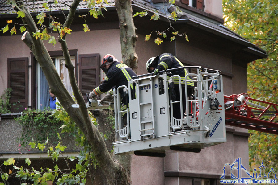 Ein Feuerwehrmann aus Völklingen entfernt einen absturzgefährdeten Ast (Foto: Hell)